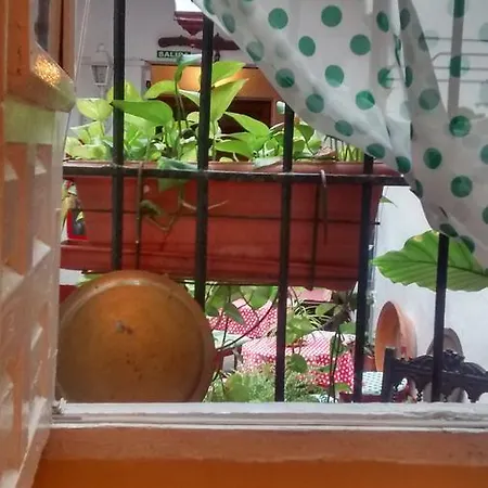 Alojamento de Acomodação e Pequeno-almoço Patio 19